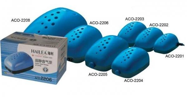 Happet Hailea Haile ACO-2202