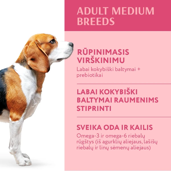OPTIMEAL maistas vidutinių veislių šunims su kalakutiena, 3 x 12kg