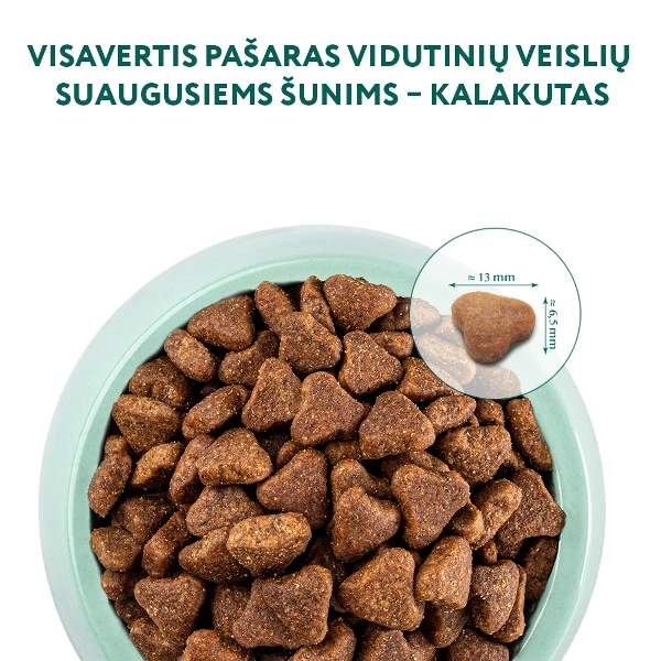 OPTIMEAL maistas vidutinių veislių šunims su kalakutiena, 3 x 12kg