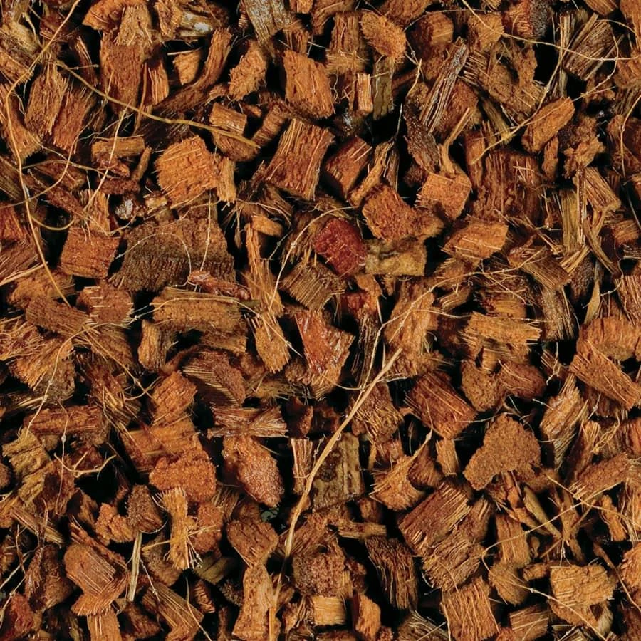 Repti Planet kokoso čipsai 8L