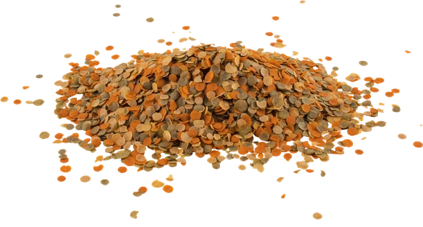 TetraMin Crisps 12g pagrindinis pašaras visoms dek. žuvi
