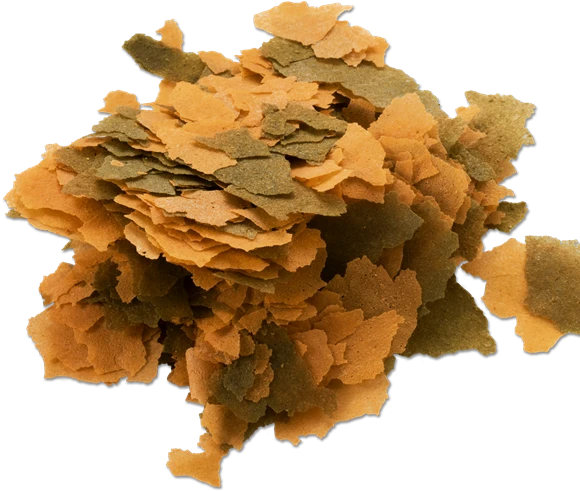 Tetra TetraMin XL Flakes pašaras didelėms dekoratyvinėms žuvims 10L