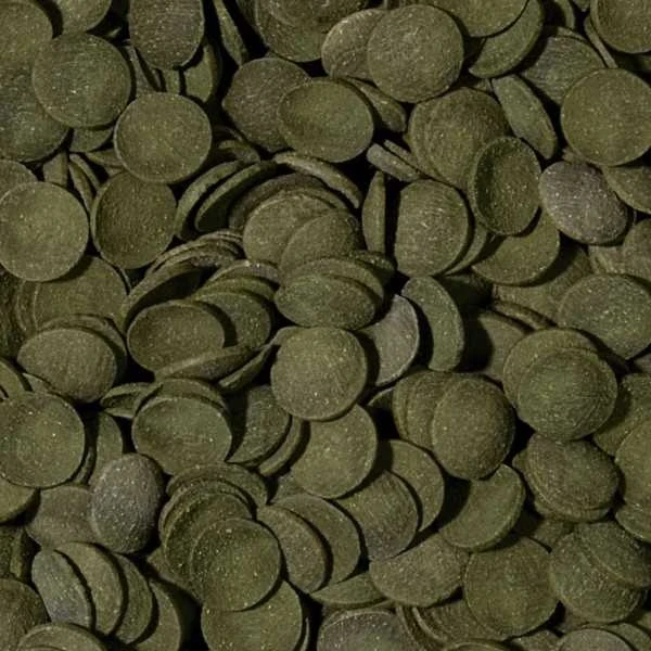 Tropical Žalias algae wafers 250ml/124,3g +10%