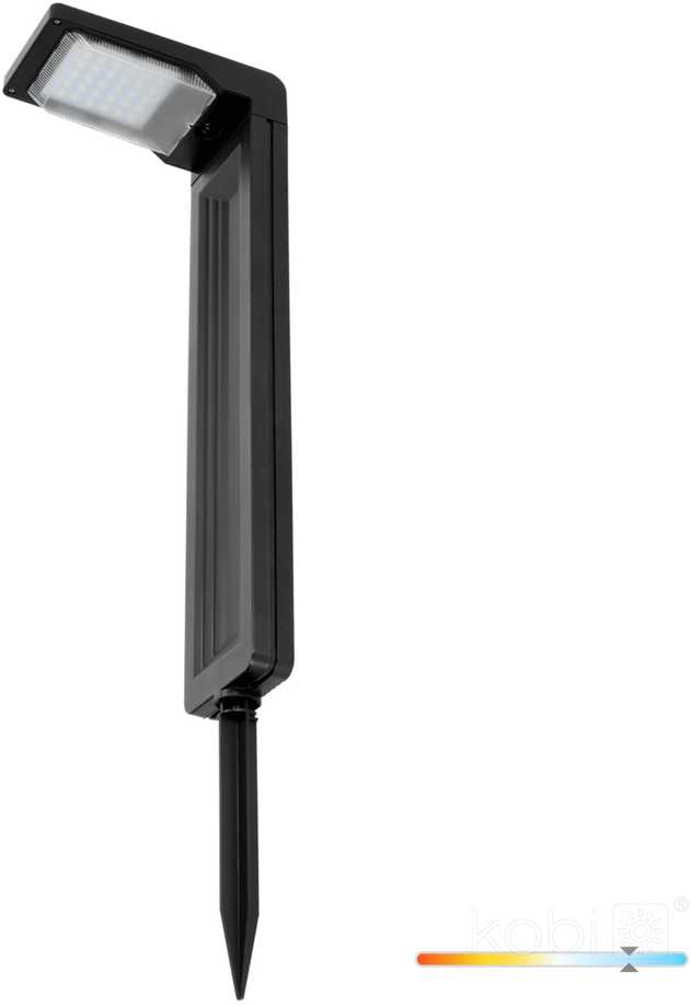 0,2W LED įsmeigiamas šviestuvas su saulės baterija SPIKE, juodas, 6500K, IP44