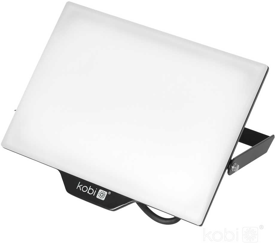 100W LED prožektorius DELYO MHN, juodas, 4000K, IP65