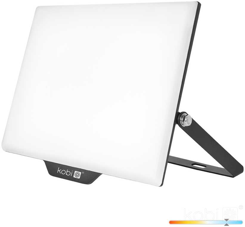 100W LED prožektorius DELYO MHN, juodas, 6000K, IP65