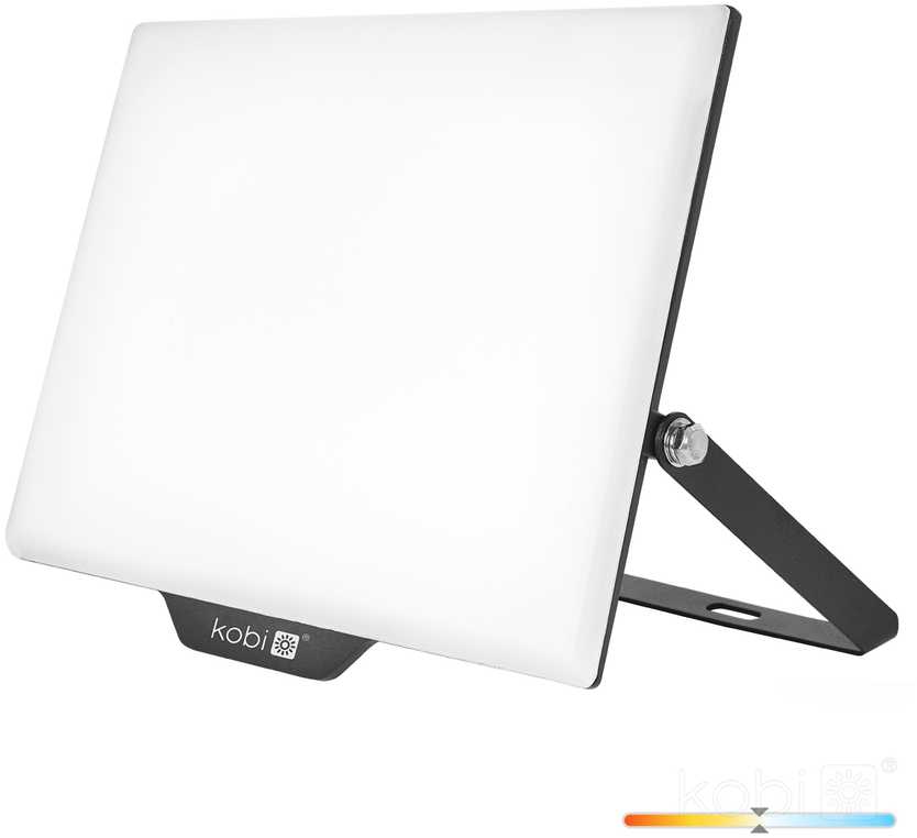 100W LED prožektorius DELYO MHN, juodas, 4000K, IP65