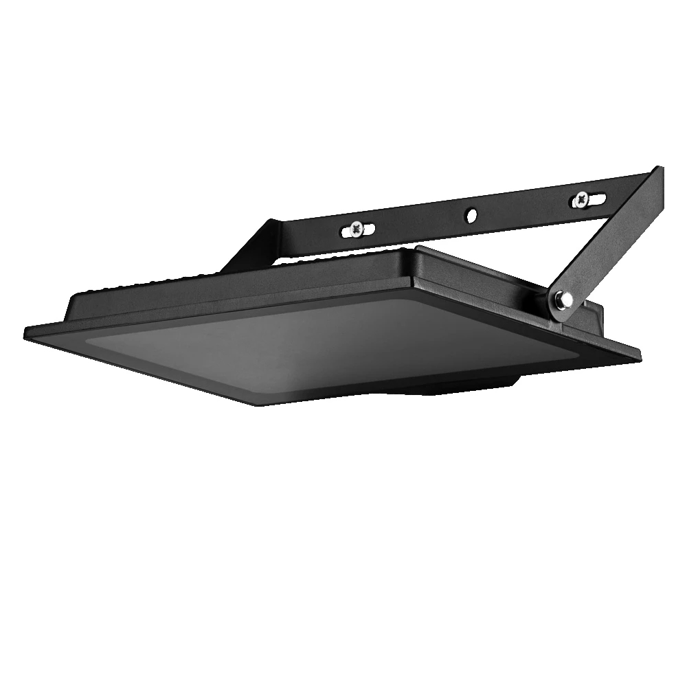 100W LED prožektorius ESSENTIALS, juodas, 4000K, IP65