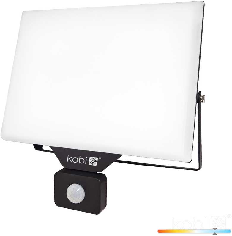 100W LED prožektorius su judesio davikliu DELYO MHNC, juodas, 6000K, IP54