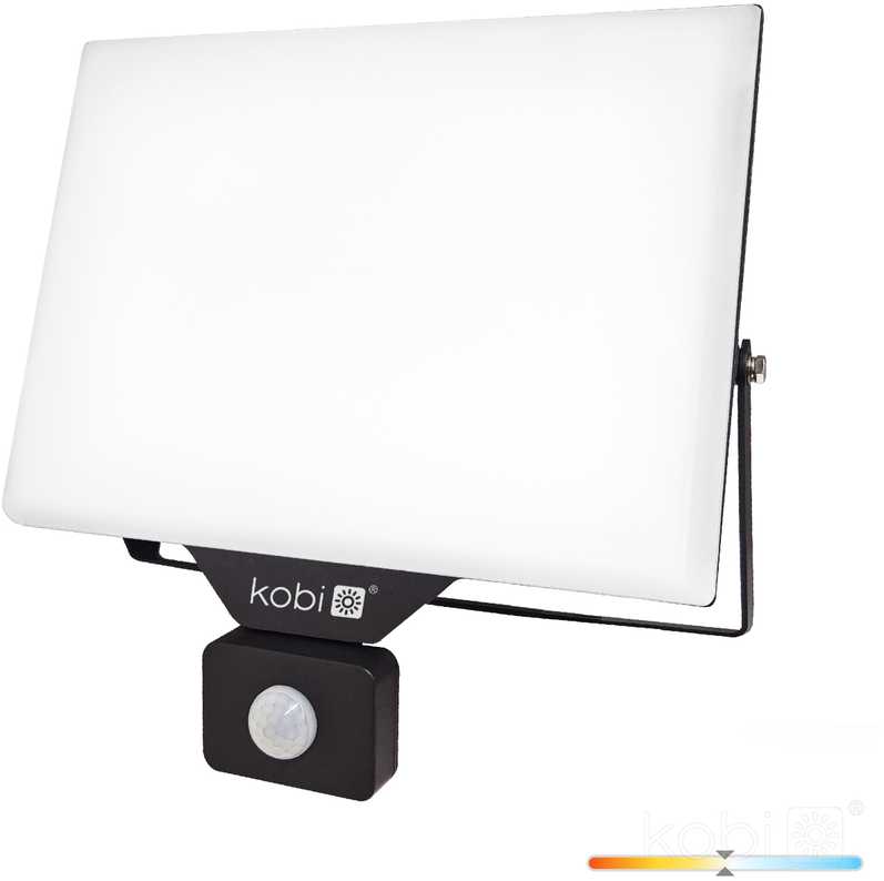 100W LED prožektorius su judesio davikliu DELYO MHNC, juodas, 4000K, IP54