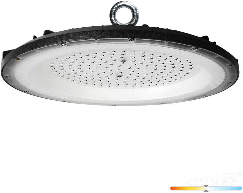 100W LED UFO šviestuvas GRAZA, juodas, 4000K, IP65