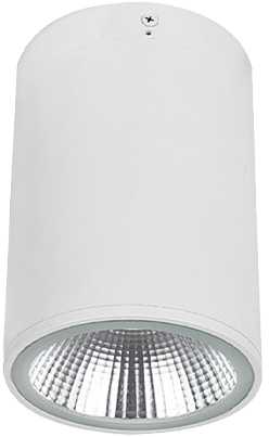 10W LED paviršinis fasado šviestuvas DERMOT, baltas, 3000K, IP65, 4334800