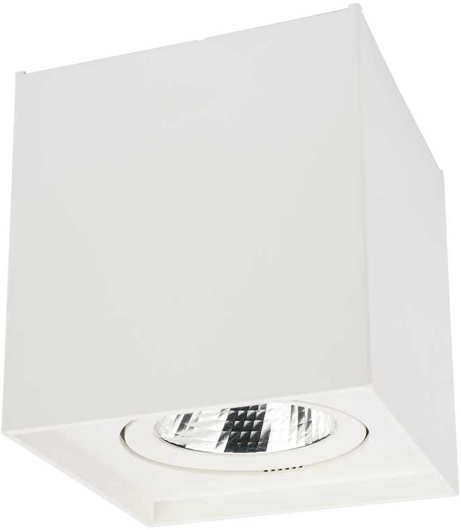 10W LED paviršinis pakreipiamas lubinis šviestuvas PC 01, matinės baltos sp., 3000K