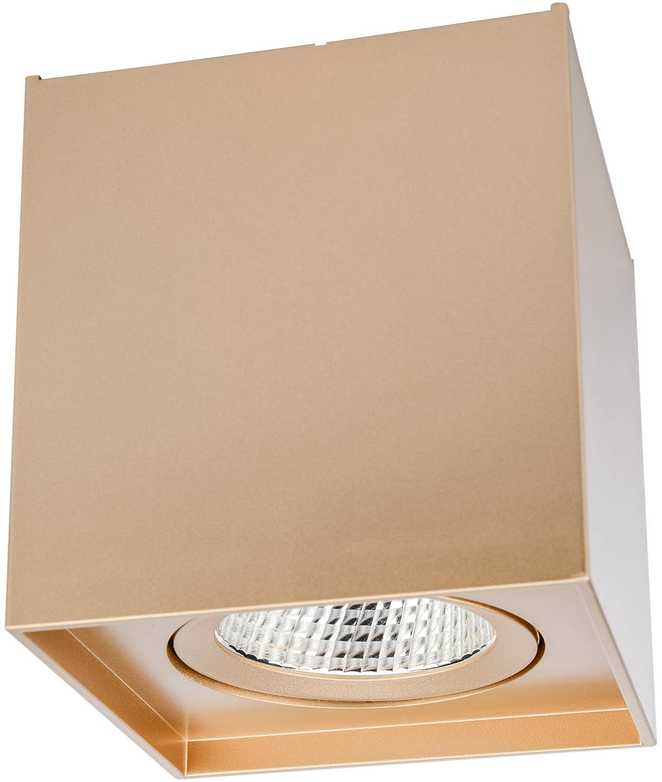 10W LED paviršinis pakreipiamas lubinis šviestuvas PC 01, matinės aukso sp., 4000K