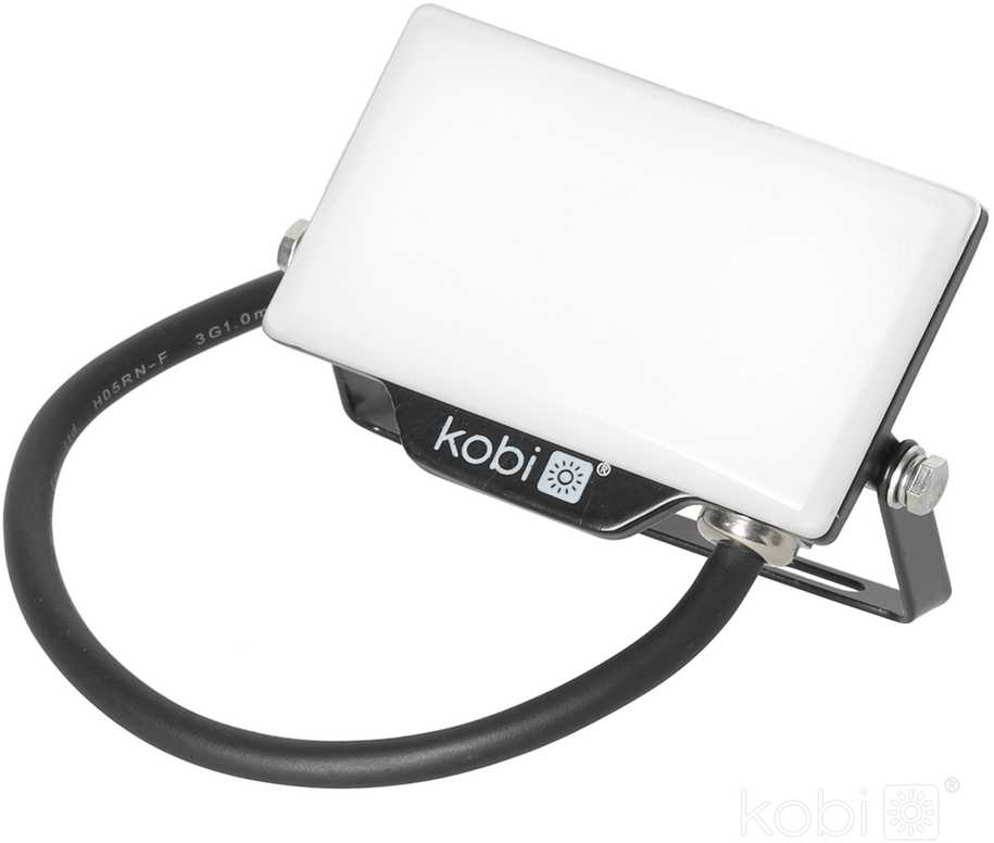 10W LED prožektorius DELYO MHN, juodas, 6000K, IP65