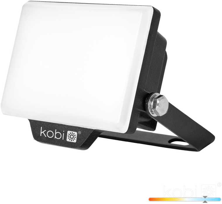 10W LED prožektorius DELYO MHN, juodas, 6000K, IP65