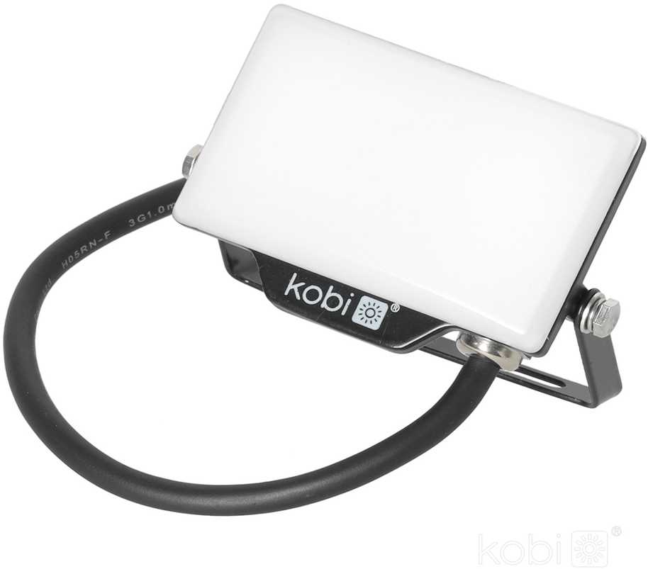 10W LED prožektorius DELYO MHN, juodas, 4000K, IP65