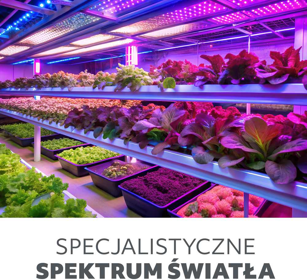 10W LED stalo šviestuvas augalų auginimui VERDI, baltas, 3200K