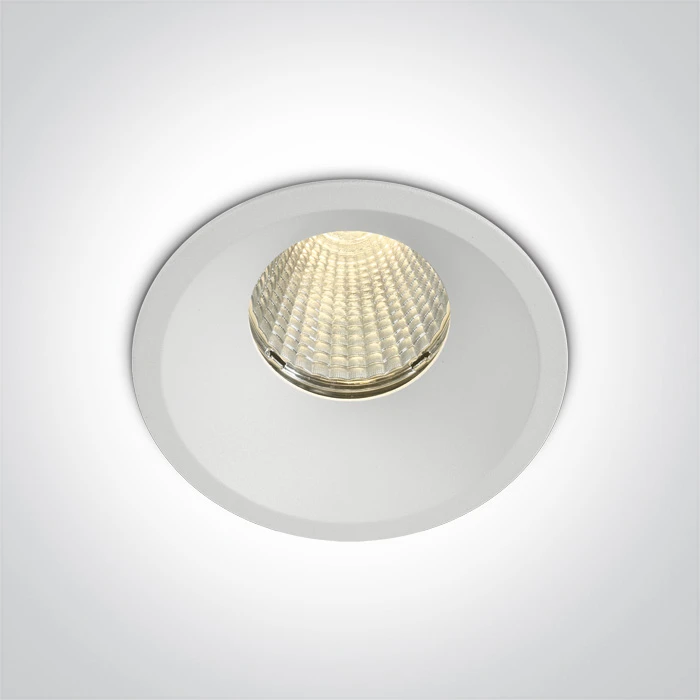12W LED įleidžiamas šviestuvas, baltas, 3000/3500/4000K, IP65, dimeriuojamas, 10112TP/W/V