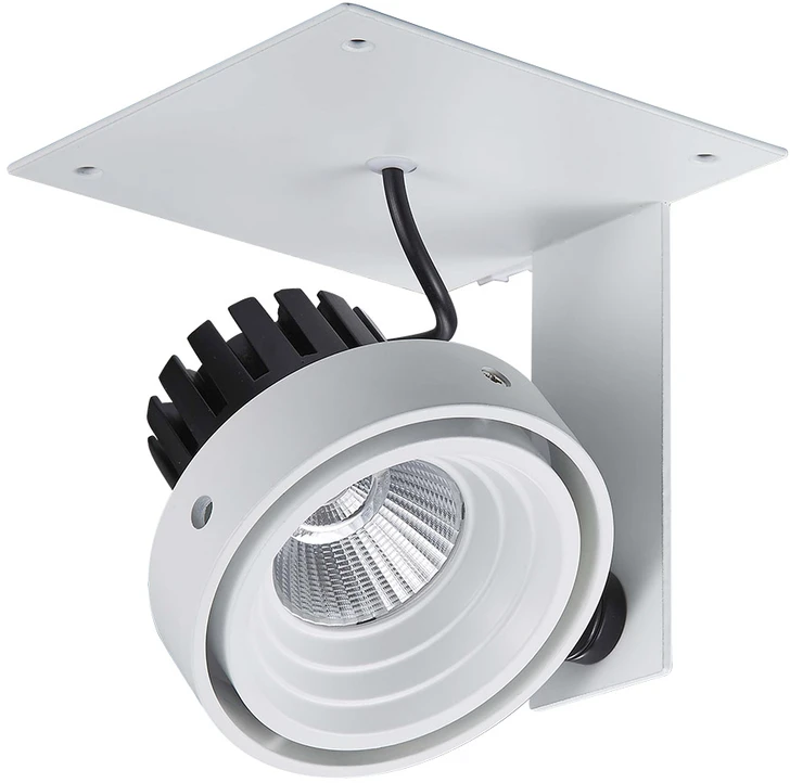 Pakabinamas šviestuvas Italux Įleidžiamas LED šviestuvas GL7118-1/1X12W 3000K WH+BL