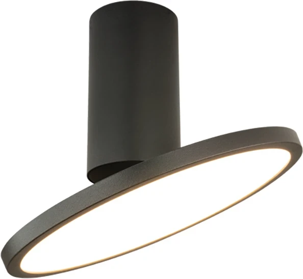 12W LED lubinis šviestuvas, juodas, 3000K, 25304
