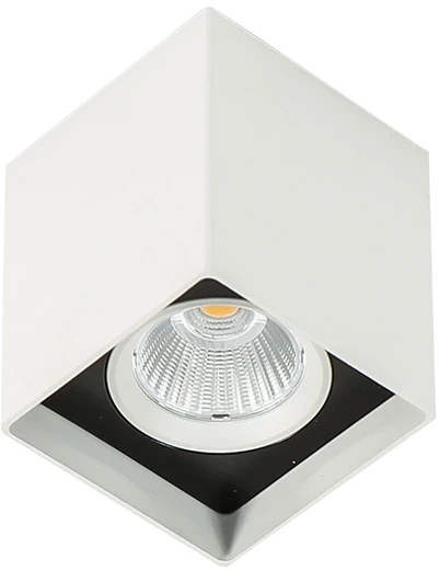 Lubinis šviestuvas 12W LED paviršinis šviestuvas ALDEN, baltos/juodos sp., 3000K