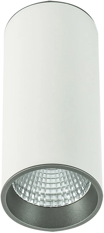 Lubinis šviestuvas Netlighting 12W LED paviršinis šviestuvas MOLDES BIG, baltos/pilkos sp., 4000K