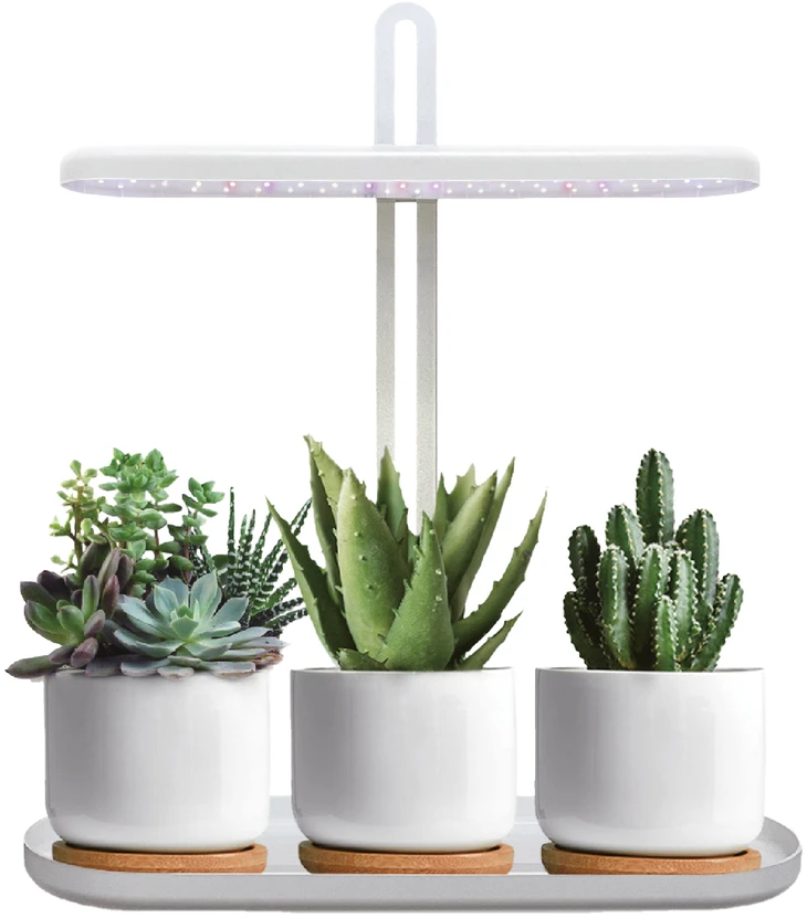 12W LED stalo šviestuvas augalų auginimui BLOOM, baltas, 4500K