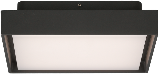 Lubinis šviestuvas 14W LED lubinis fasado šviestuvas NEXUS, antracito sp., 2700/3000K, IP65, P2083171GR