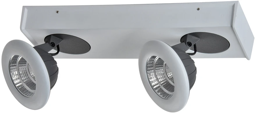 Lubinis šviestuvas 14W LED paviršinis šviestuvas CATALINA, baltos/pilkos sp., 3000K