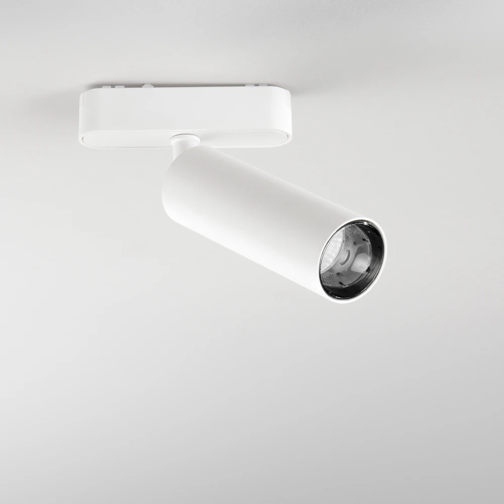 15W LED šviestuvas, montuojamas į BERNINI sistemą, baltas, CCT
