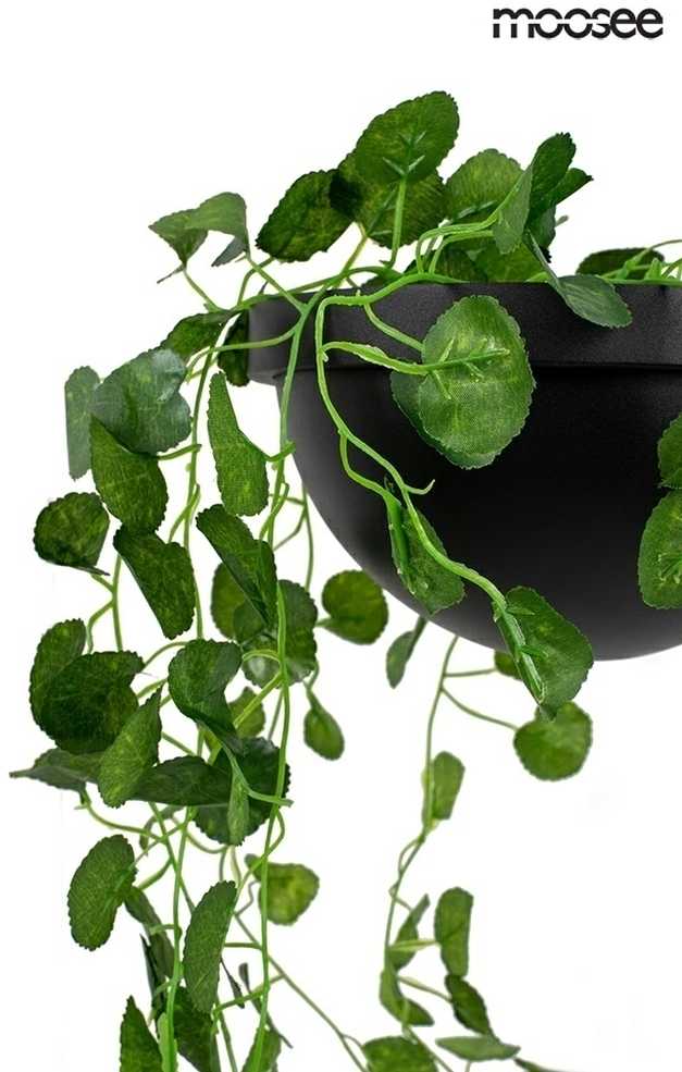 16W LED sieninis šviestuvas PLANT WALL, juodas, 3000K