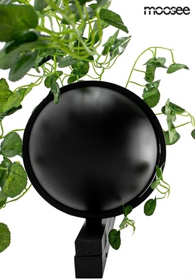 16W LED sieninis šviestuvas PLANT WALL, juodas, 3000K