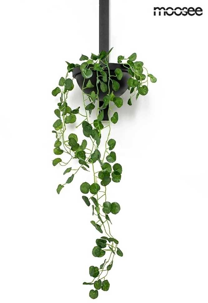 16W LED sieninis šviestuvas PLANT WALL, juodas, 3000K