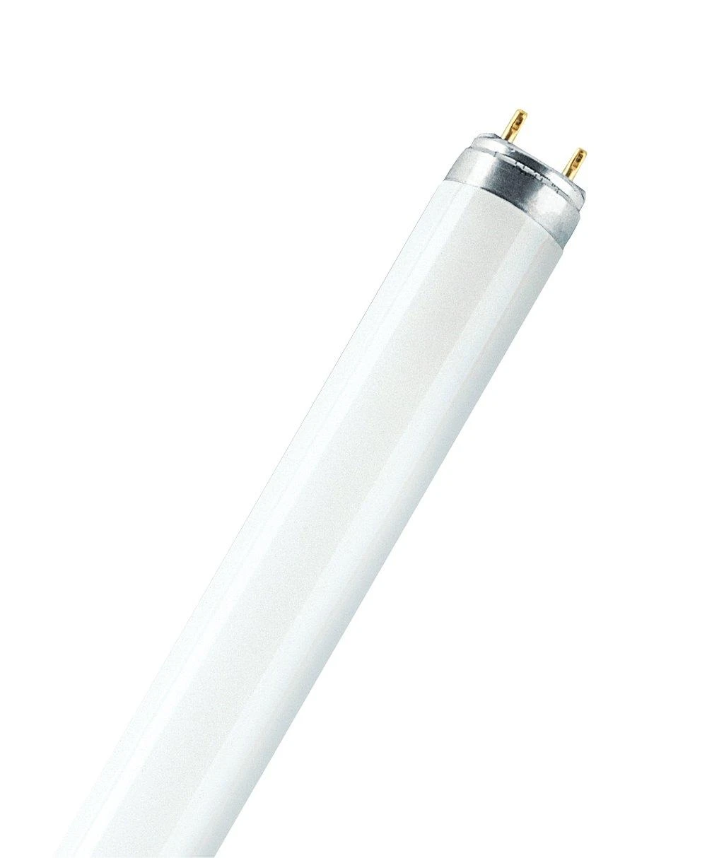 Ledvance 18W lempa LUMILUX T8, G13, 2700K, 604mm
