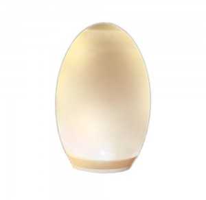 V-tac 0,2W LED įkraunamas lauko šviestuvas, kiaušinio formos, 3000K/RGB, IP44, su saulės baterija