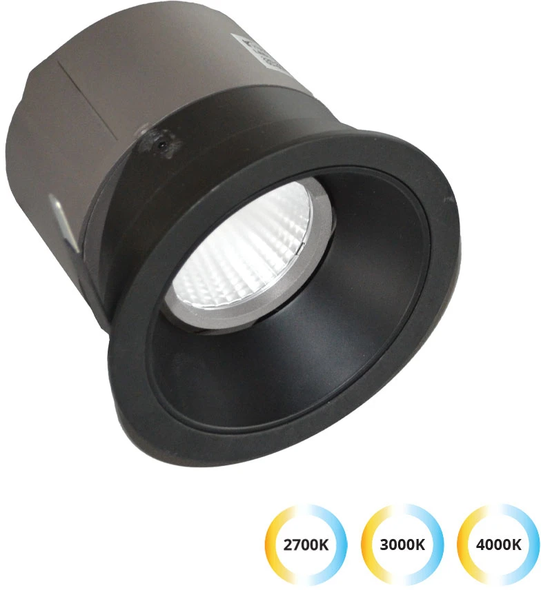 20W LED įleidžiamas šviestuvas ALEA, juodas, 2700/3000/4000K, 3914-012B-3-S-38