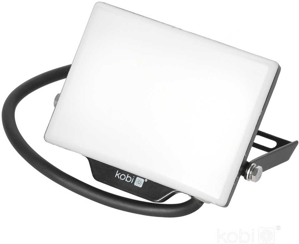 20W LED prožektorius DELYO MHN, juodas, 6000K, IP65