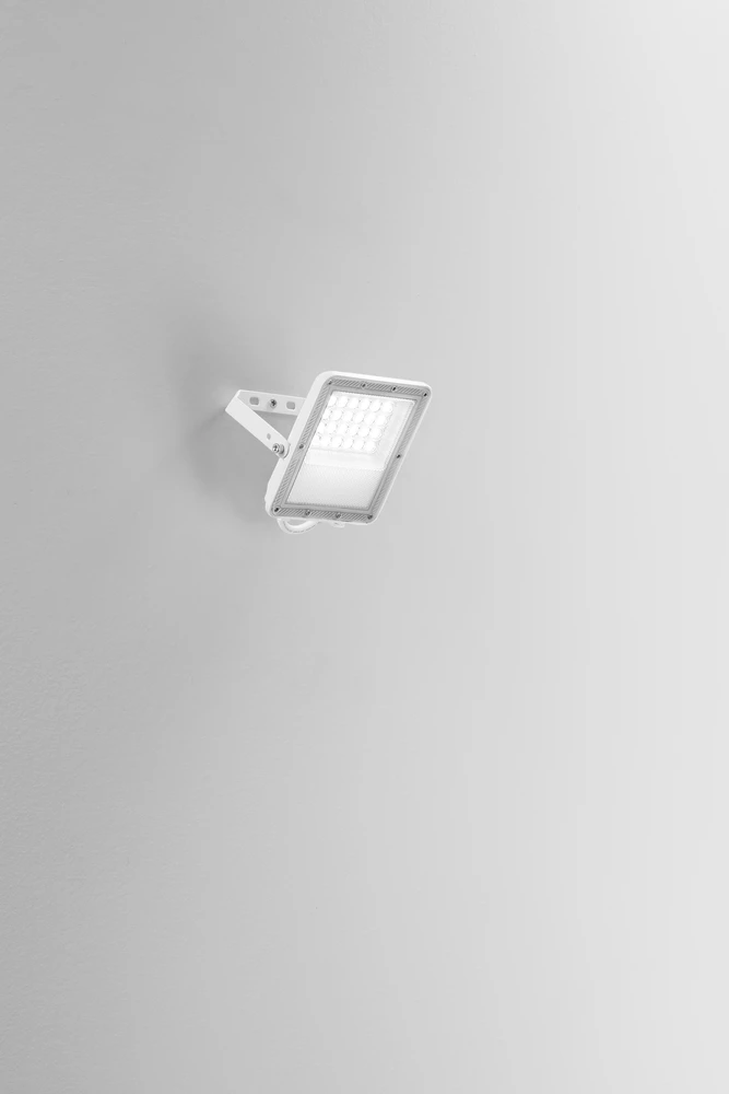 20W LED prožektorius ESUS, baltas, CCT, IP65
