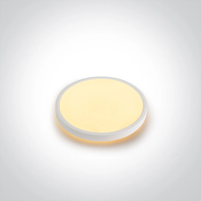 Lubinis šviestuvas 22+3W LED paviršinis šviestuvas, baltos sp., 2700/3200/4000K, 300mm, šviečia į viršų ir į apačią, 62002A/W/V