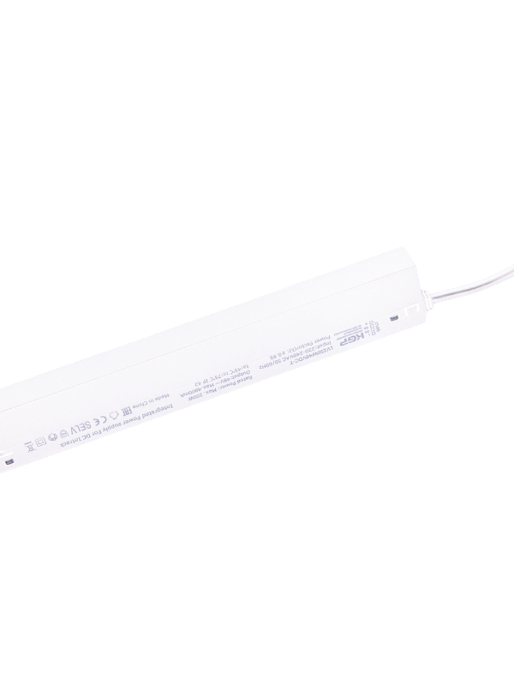 250W integruotas maitinimo šaltinis magnetinei sistemai ZAMBELIS, baltas, 48V, DALI, 22294-W