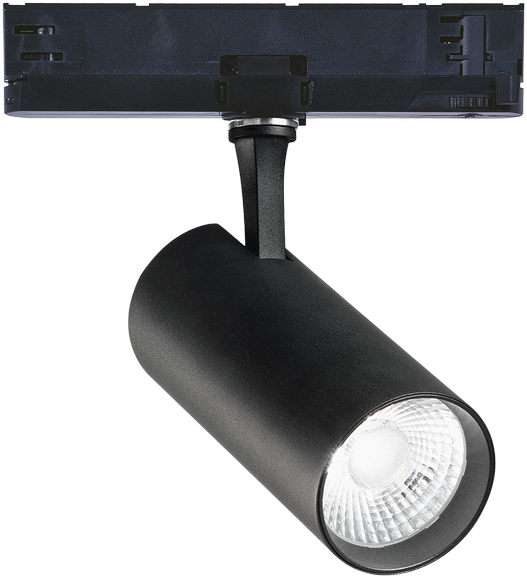 25W LED akcentinis šviestuvas į 3 fazių bėgelį FOX, juodas, 3000K, DALI, 302614