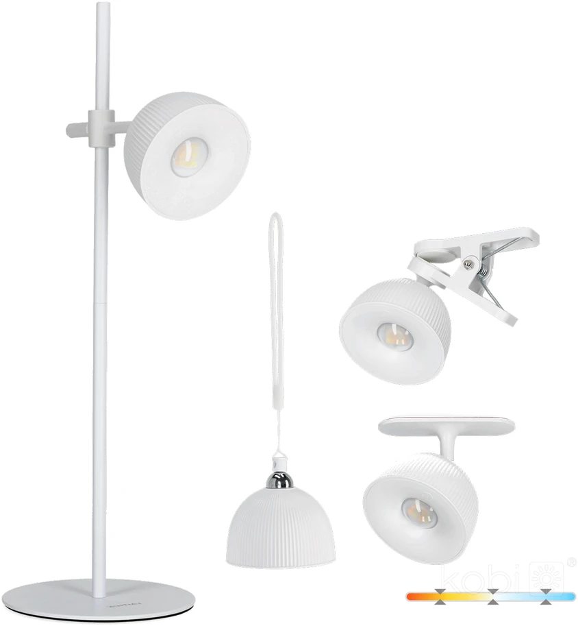 2,5W LED stalo šviestuvas ORBI, baltas, 3000/6500K