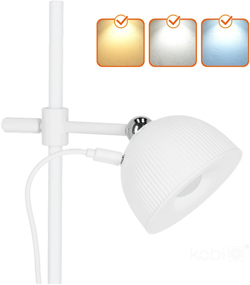 2,5W LED stalo šviestuvas ORBI, baltas, 3000/6500K