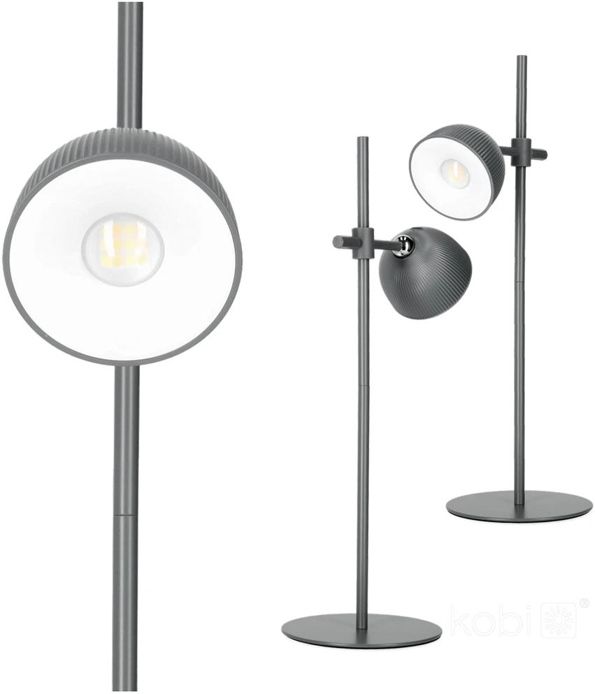 2,5W LED stalo šviestuvas ORBI, pilkas, 3000/6500K