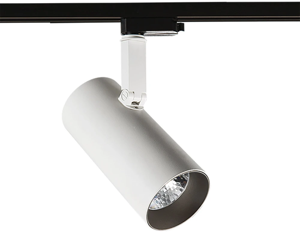 28W LED akcentinis vienfazis šviestuvas RUSSO M, baltos/pilkos sp., 4000K
