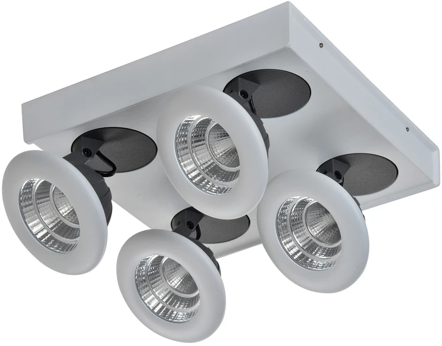 Lubinis šviestuvas 28W LED paviršinis šviestuvas CATALINA, baltos/pilkos sp., 3000K