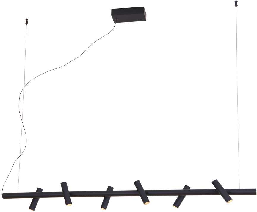 29W LED pakabinamas šviestuvas CLIO, juodas, 3000K, 4343100