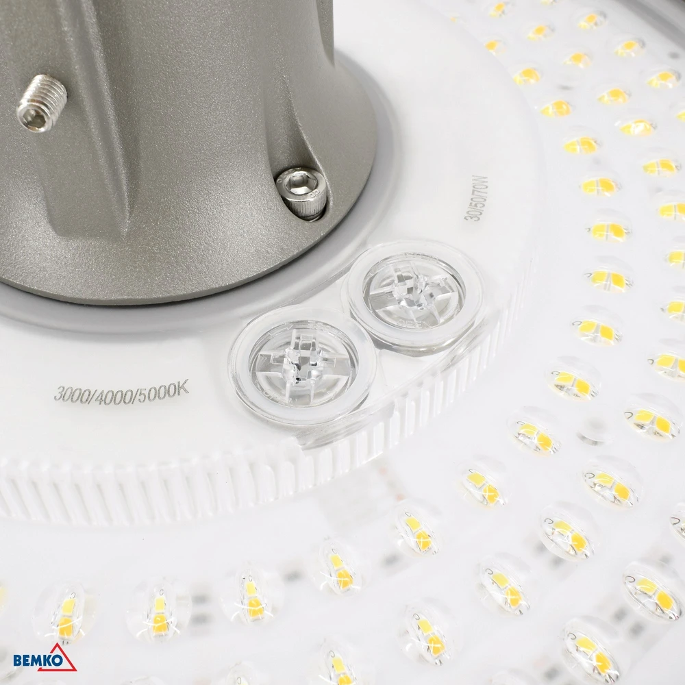30/50/70W LED parko šviestuvas GARDENIA, pilkas, 3000/4000/5000K, IP66