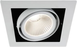 30W LED įleidžiamas šviestuvas, baltas, 4000K, 51130/W/C